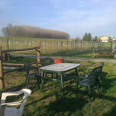 Agriturismo Antica Golena Guastalla Zewnętrze zdjęcie