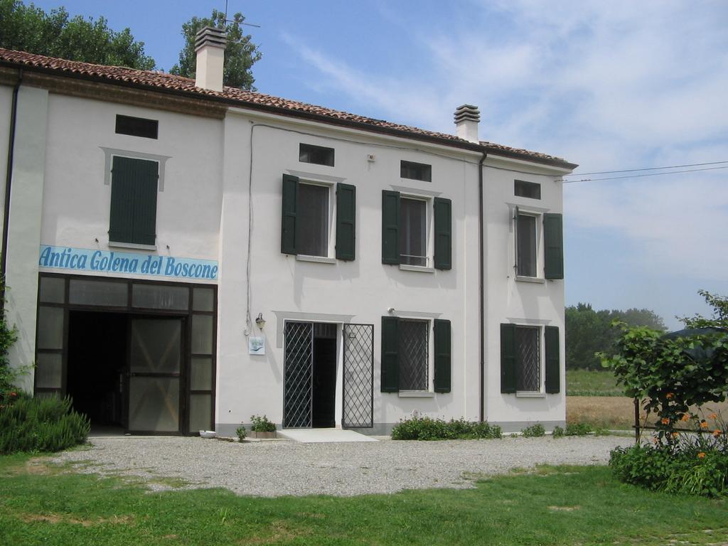 Agriturismo Antica Golena Guastalla Zewnętrze zdjęcie