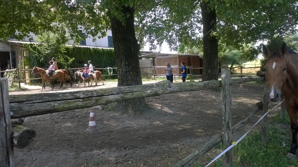 Agriturismo Antica Golena Guastalla Zewnętrze zdjęcie